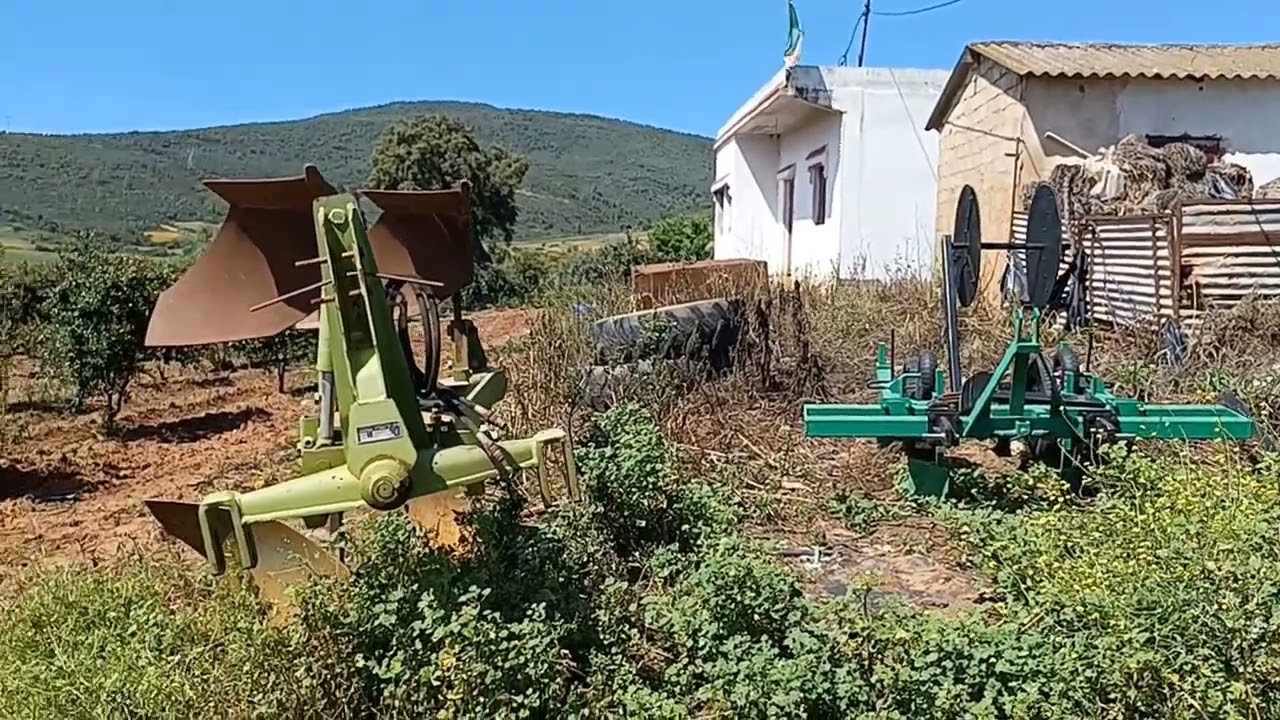 🌍 « La Terre et la Mémoire : L’Héritage de Salah Rakrouki au Jardin Partagé de Sète »