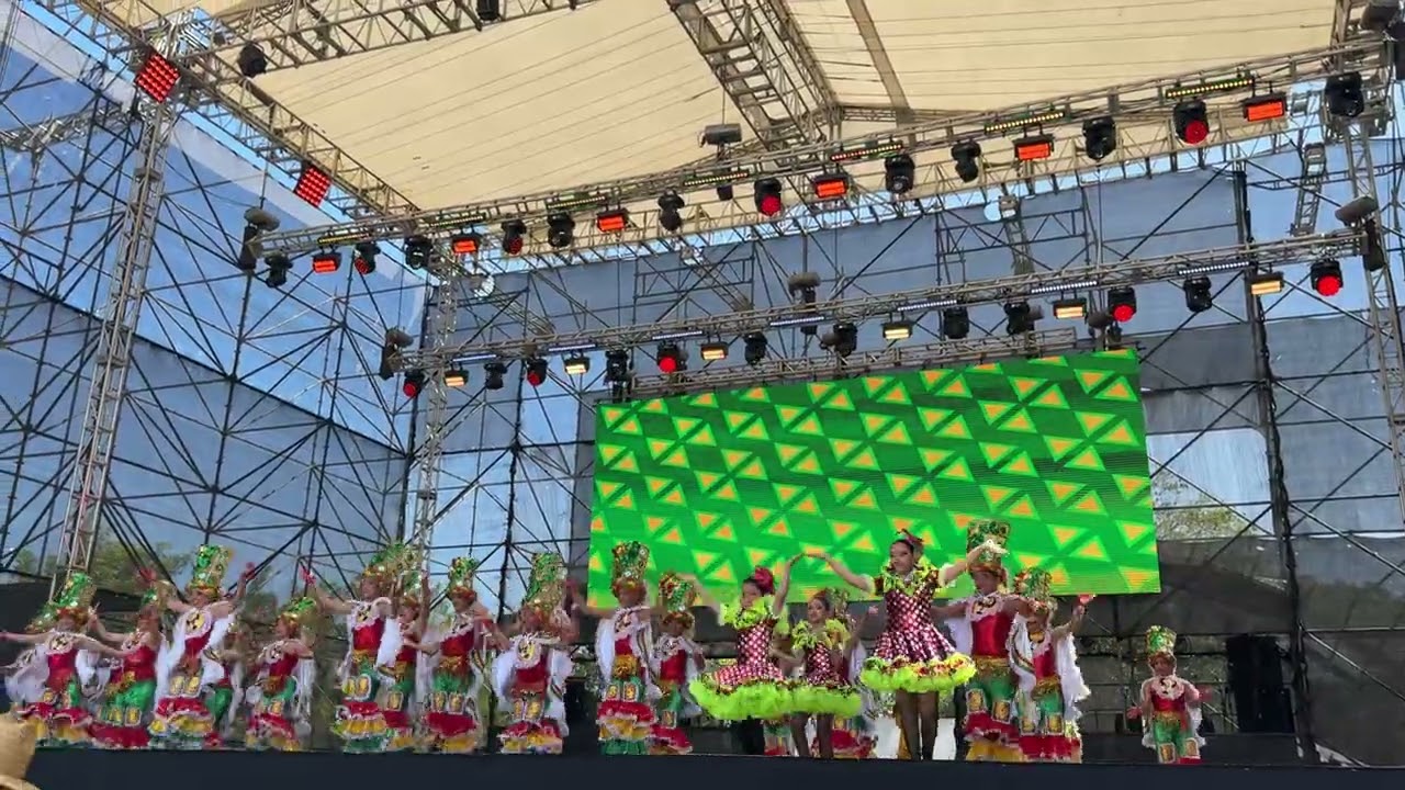 Comparsa Torito Infantil 