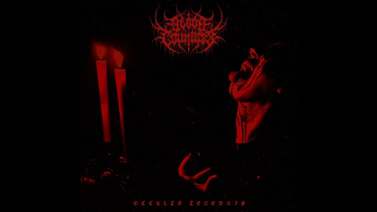 In Virgins Blood - Blood Countess
