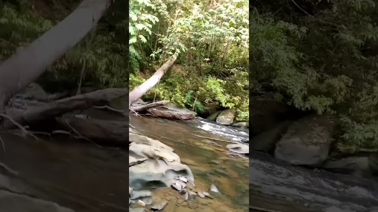 Suasana alam sungai kemensi!   sedikit orang menegetahuinya. @riedymild1296 