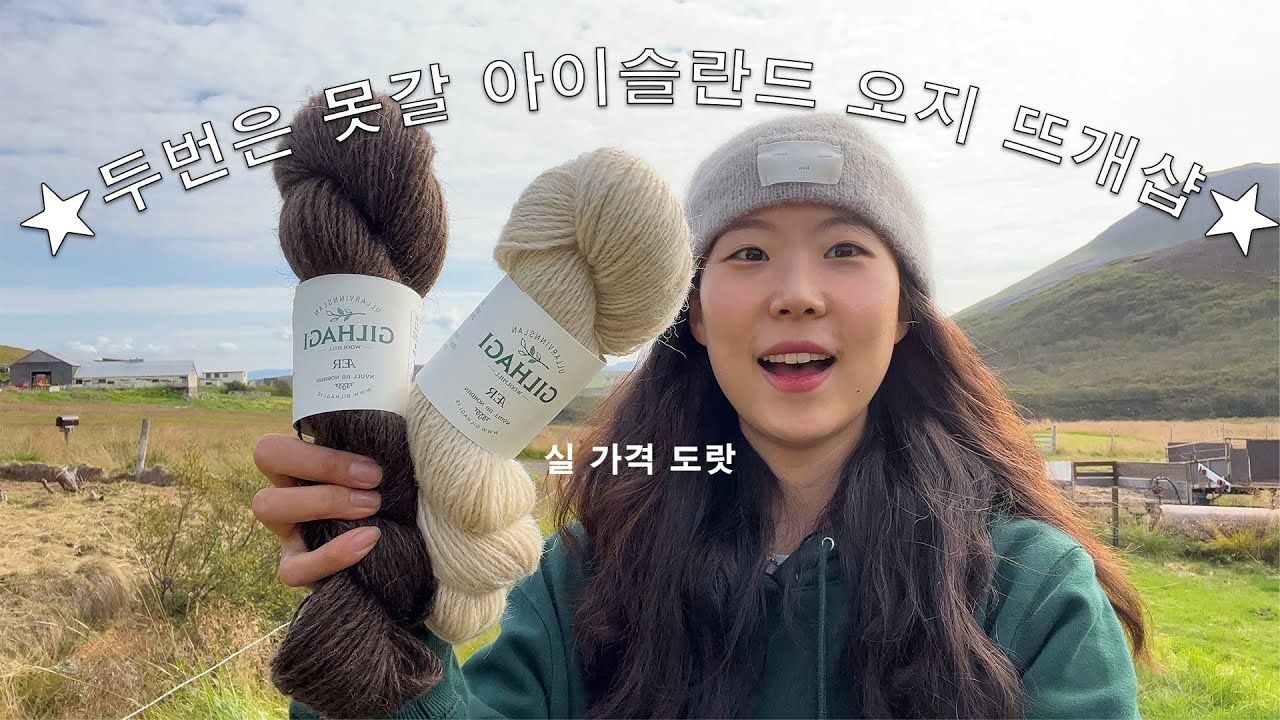 가는길이 황천길인 아이슬란드 뜨개샵 5곳 가봄 | 바늘이야기
