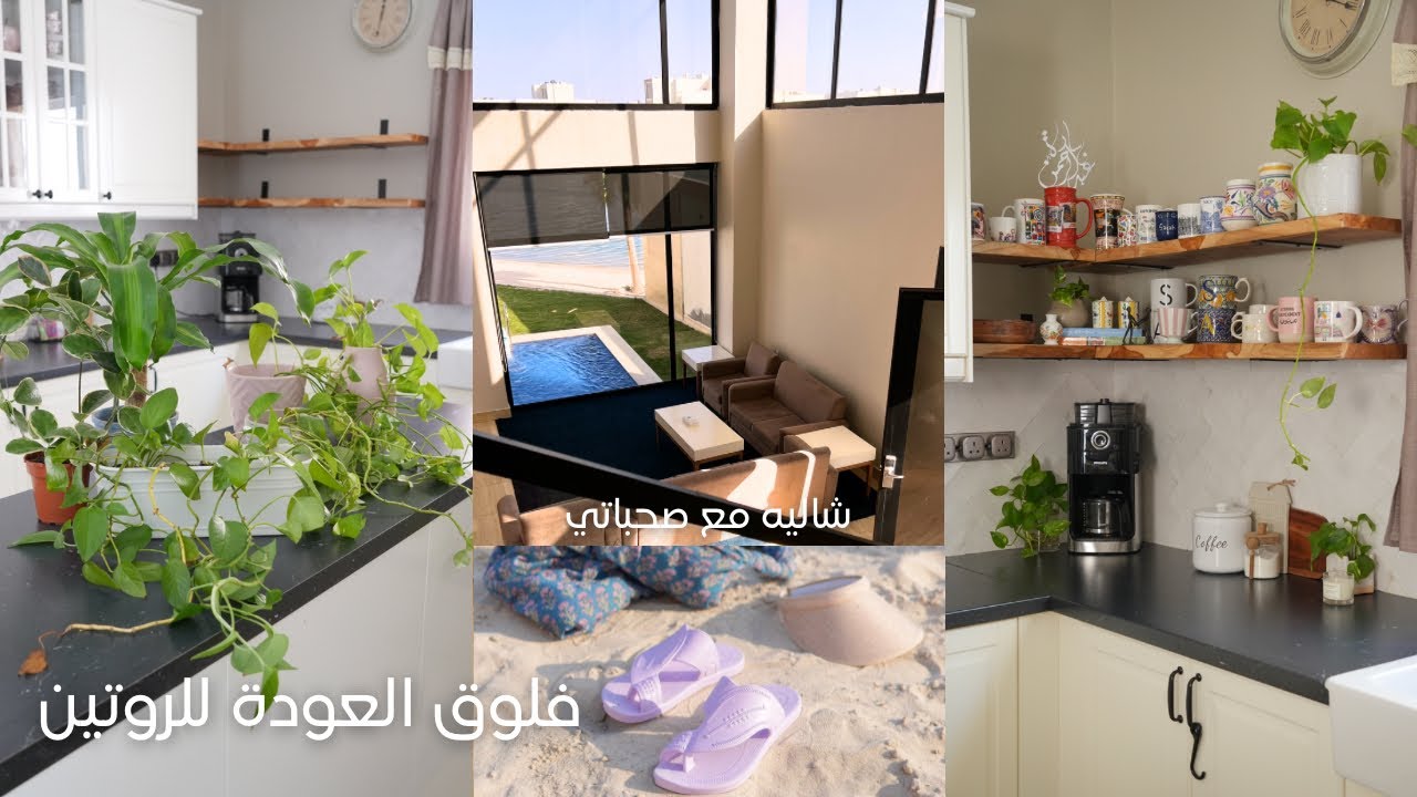 العوده للروتين وفعاليات شوال 🏖️☕️🪴