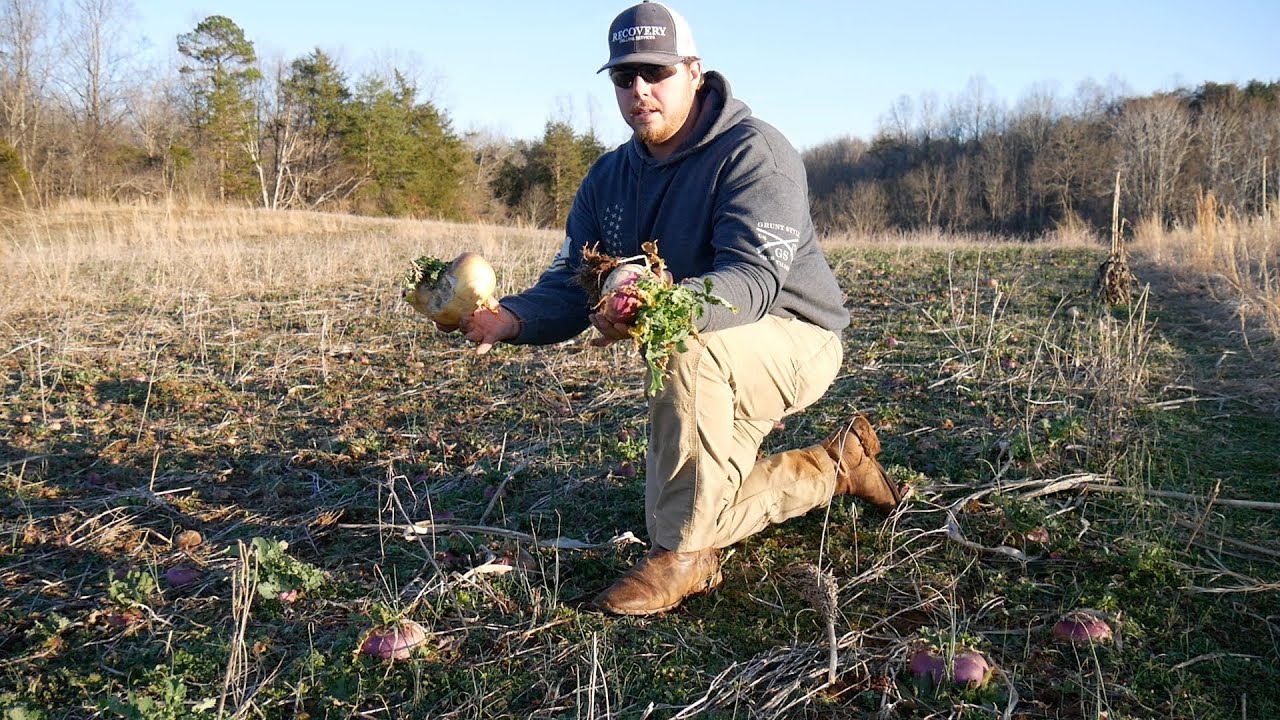 Whitetail Institute Tall Tine Tubers Post Season Review