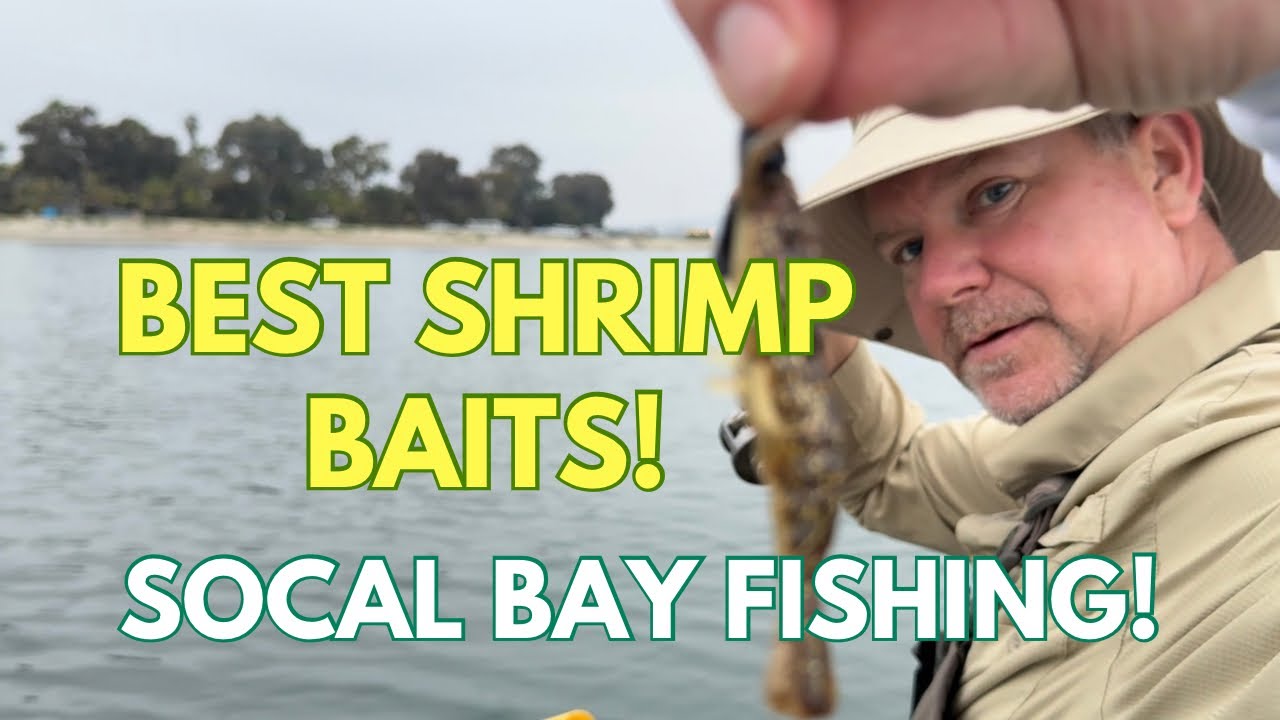 Southern California Bay Fishing: Exploring Shrimp Baits!