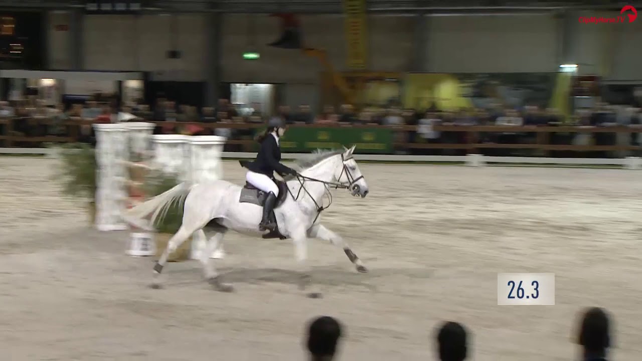 Regio Springen Paarden klasse M Eline Moerings