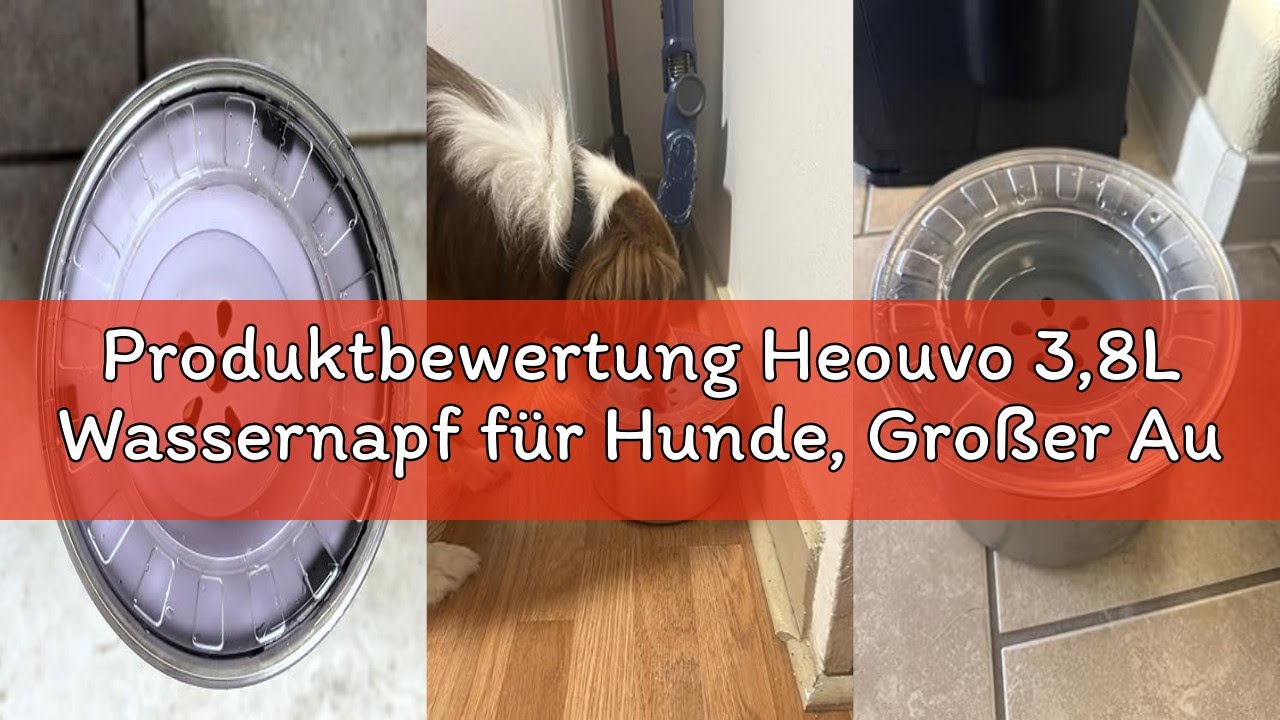 Produktbewertung Heouvo 3,8L Wassernapf für Hunde, Großer Auslaufsicherer Hundenapf aus Edelstahl, D