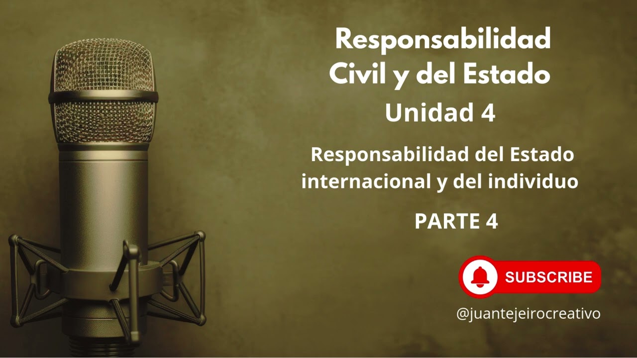 Responsabilidad del Estado internacional y del individuo U 4