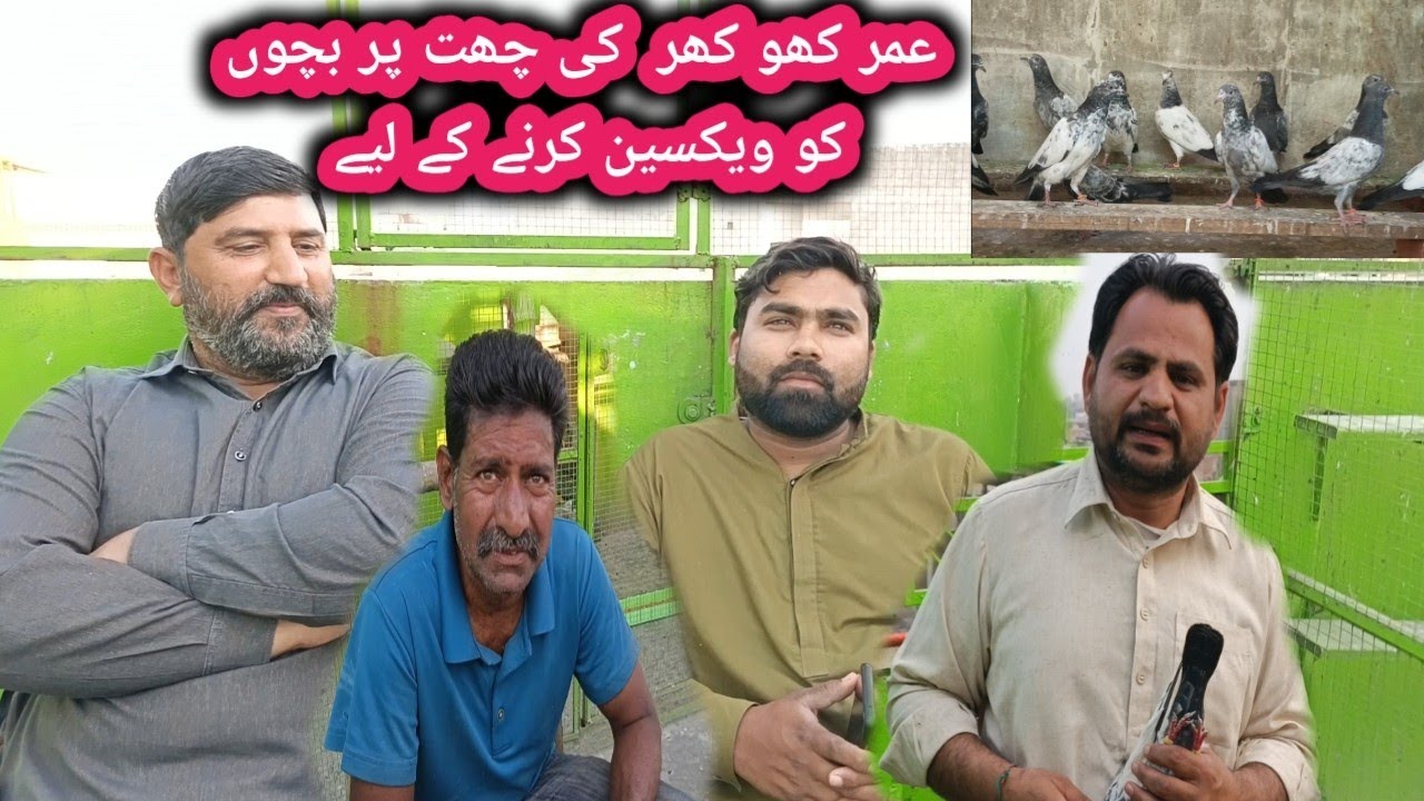اصف بھائی نے عمر کھوکر کو بچے لا کر دیے 