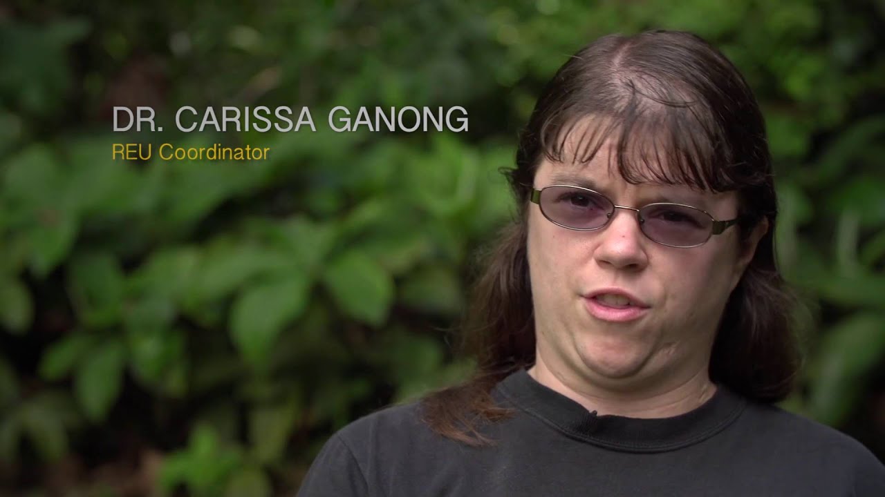 OTS La Selva Research Experience for Undergraduates