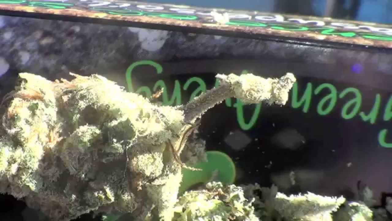 2013 High Times Medical Cannabis Cup in San Bernardino