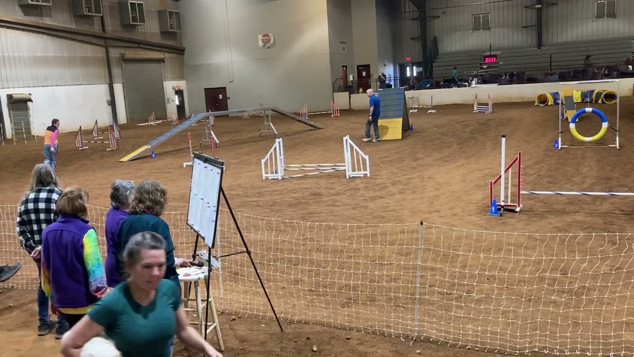 Annie's AKC 