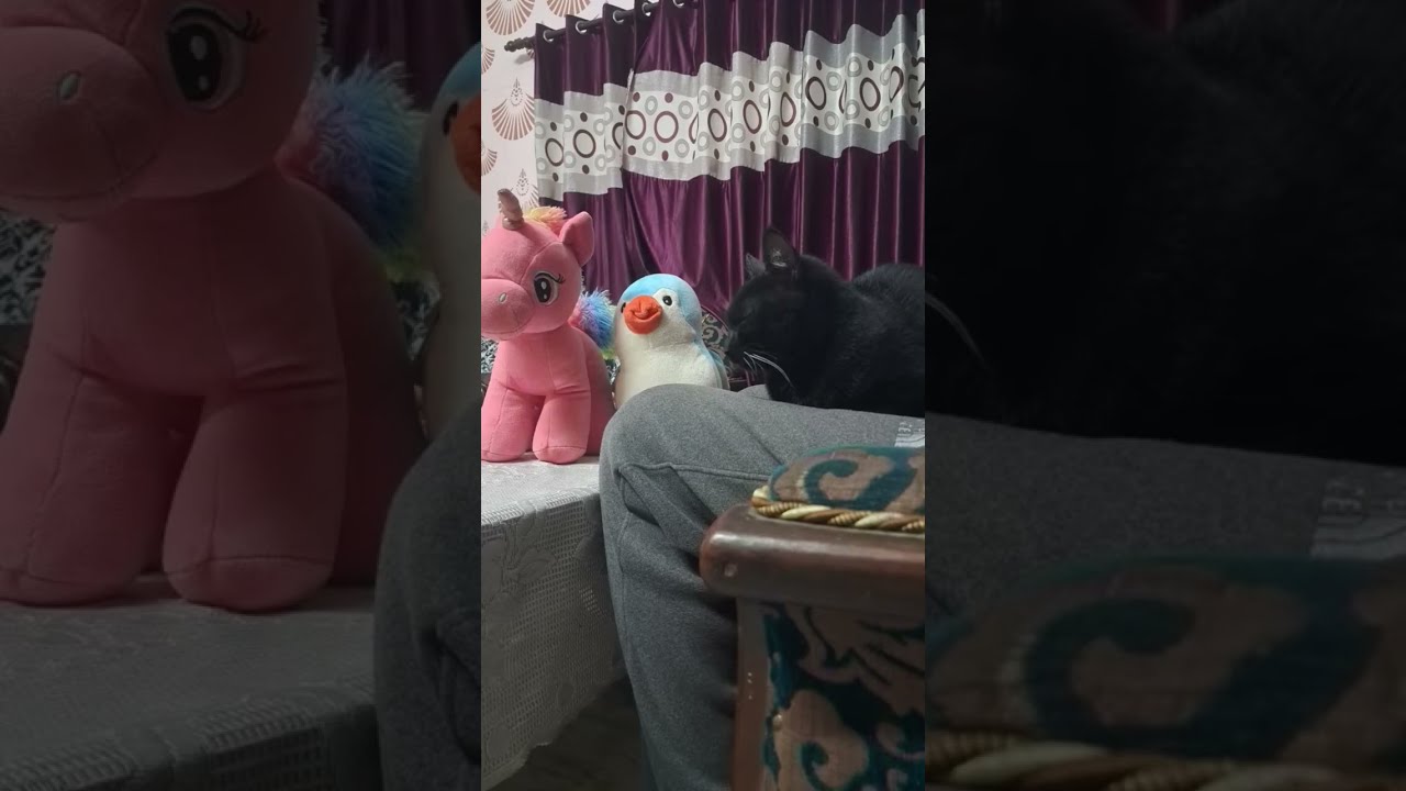 Welcome to my live stream 