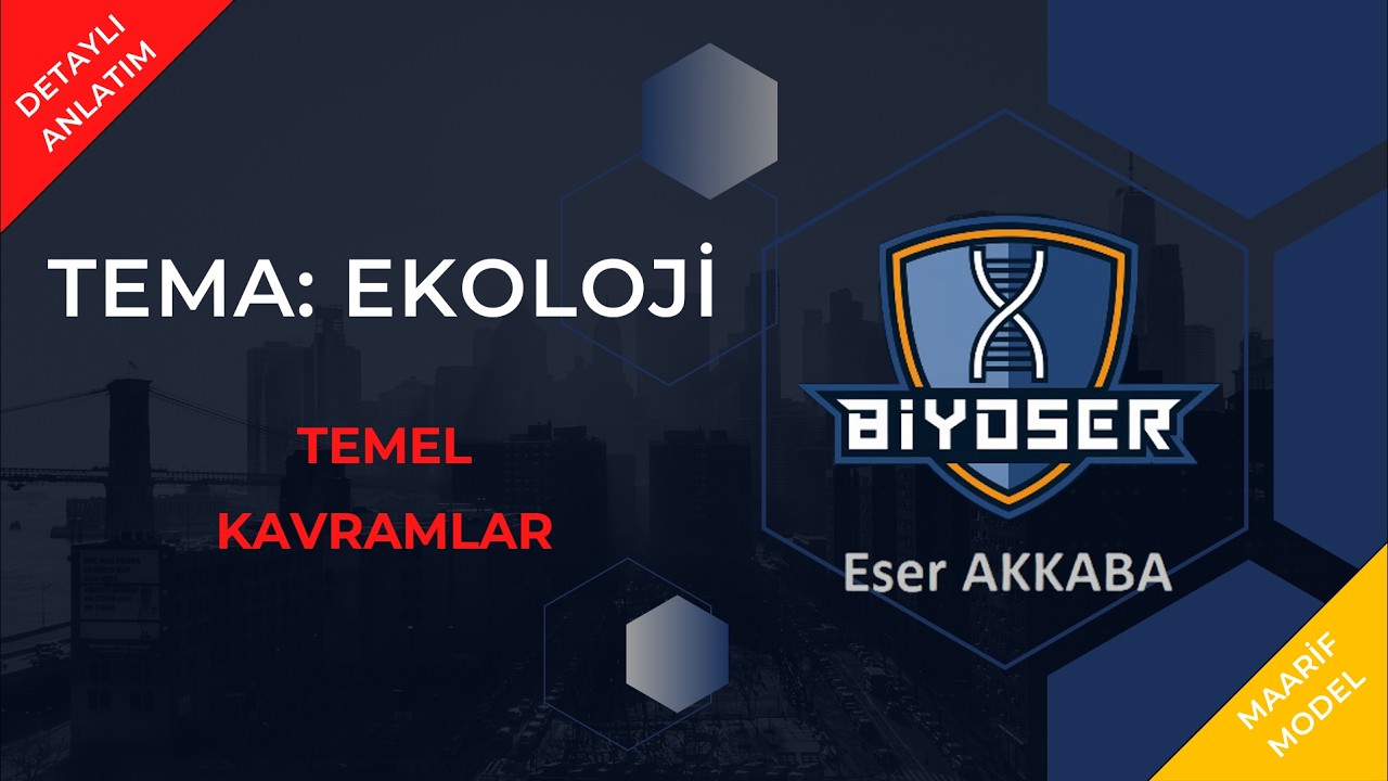 EKOSİSTEM EKOLOJİSİ - TEMEL KAVRAMLAR| 10. Sınıf ve TYT Biyoloji