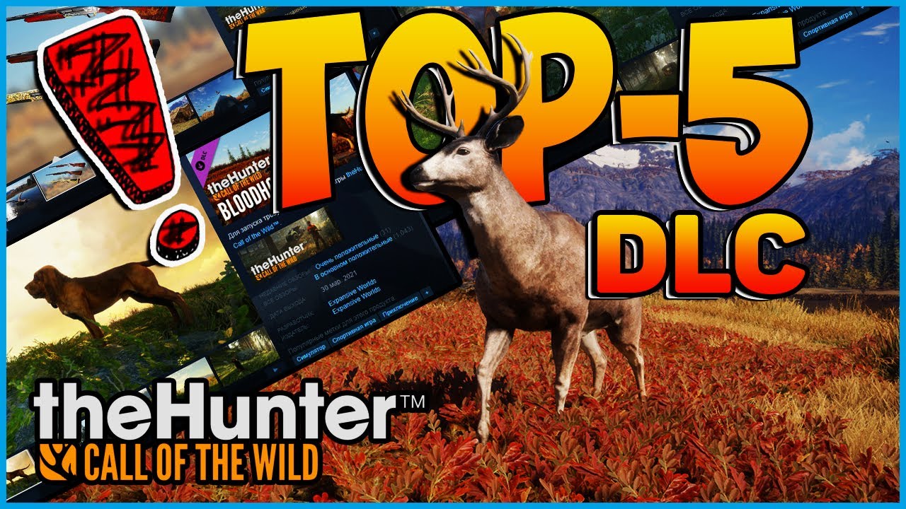 theHunter Call of the Wild ✅ DLC ✅ ТОП - 5 ДЛС 🏕️