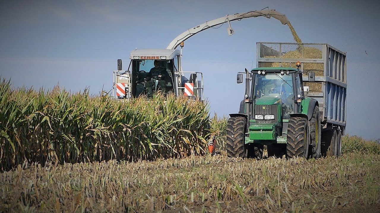 Kukurydza 2019 ☆ John Deere ☆Claas ㋡ Ls Albert ☆ |HD|