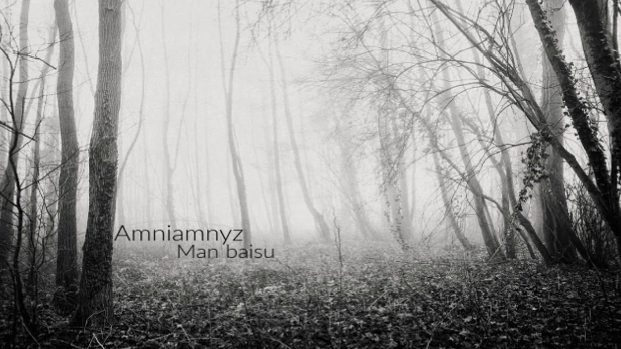 Amniamnyz - Man Baisu