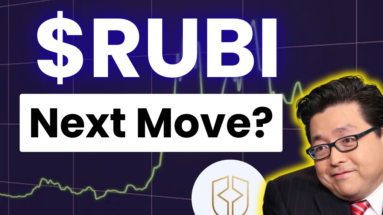 Обзор акций RUBI за вторник | Анализ акций и прогноз цены Rubico Inc (RUBI)