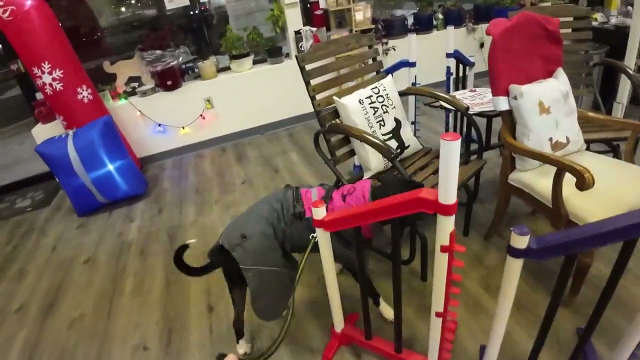 Ava drills 121625