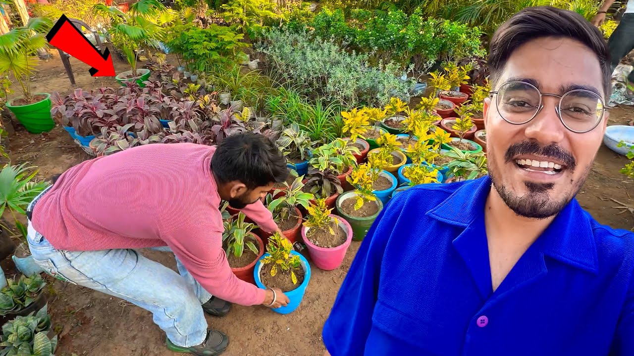 Studio Ke Liye Plants Lene Nursery Aagye 