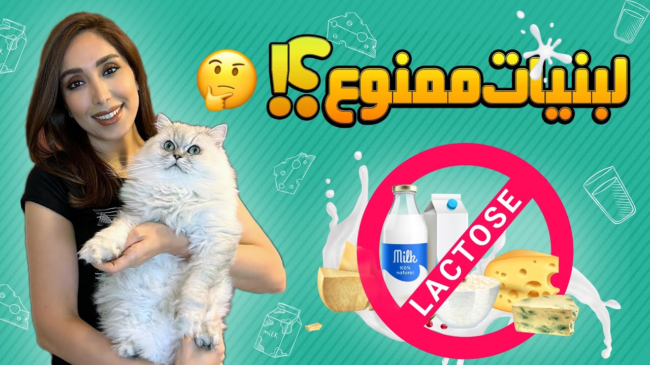 چرا نباید به گربه ها شیر داد؟! |فواید ماست و کفیر برای گربه ها