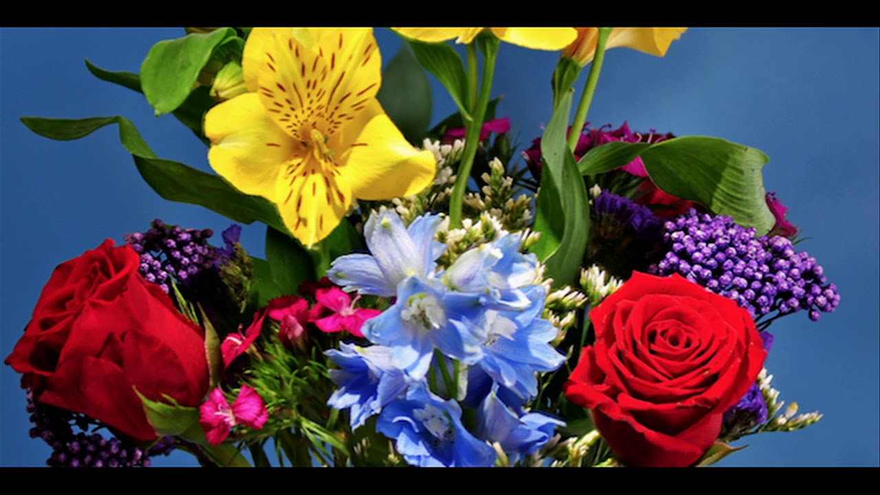 Awkward Tuesday Phone Call – My Flowers