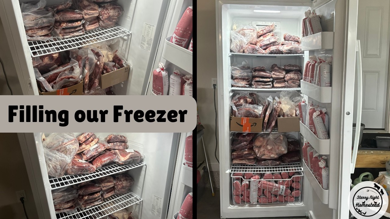 First Time Buying Half of Beef!