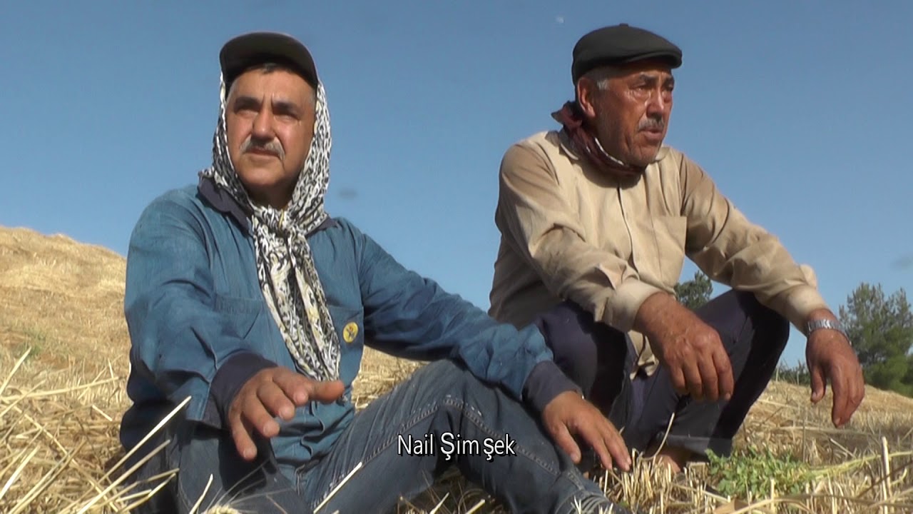 Algı Köyü --YAZ--