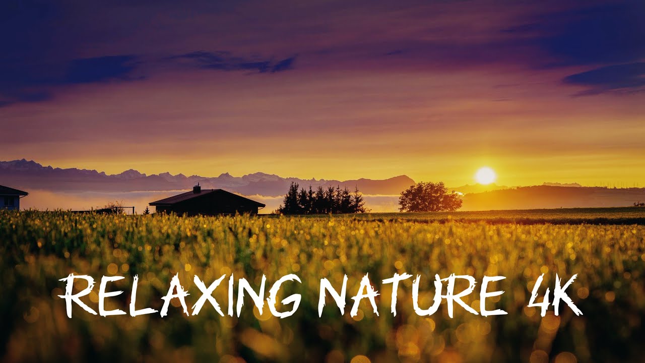 Harmony of Nature — Deep Relaxation | Relaxing Music