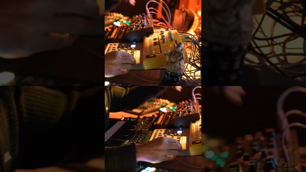 #liveperformance #dawlesstechno #rolandsynthesizer