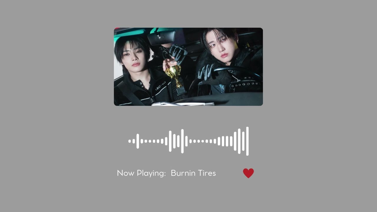 STRAY KIDS PLAYLIST 2025 [Mixtape : DominATE Incl]