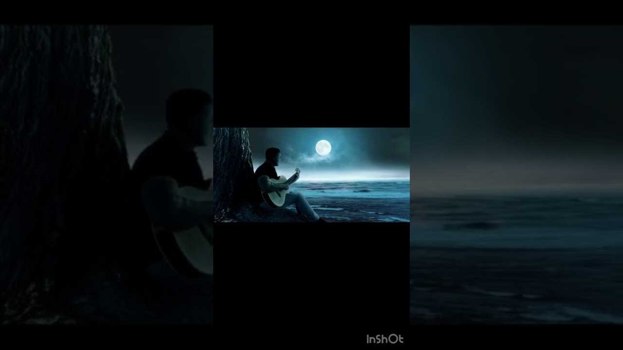 Cada dia 