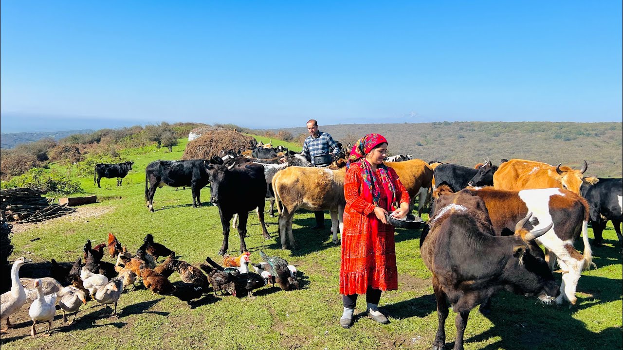 Amazing Mountain Adventure: Collecting Firewood with a Donkey & Cooking in a Clay Oven