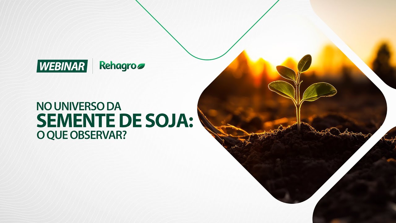 SEMENTE DE SOJA: O QUE VOCÊ PRECISA SABER | Webinar Grãos