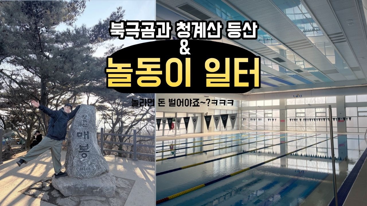 북극곰과 등산 & 놀동이 일터