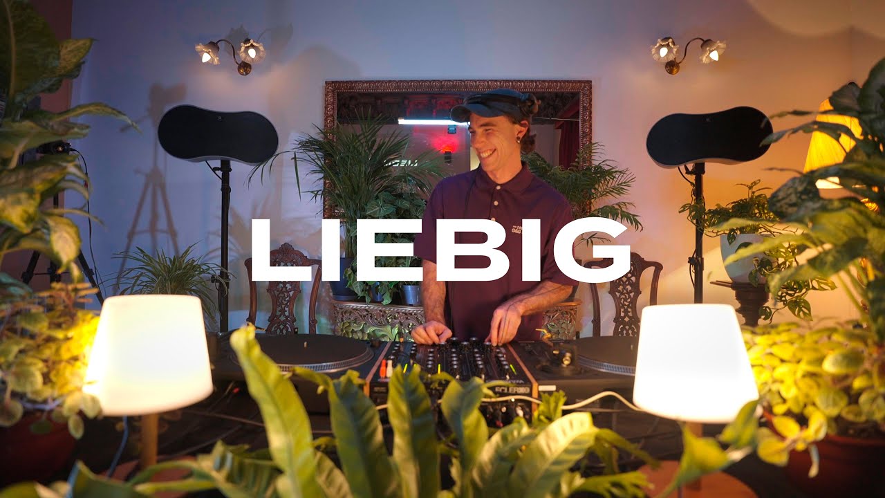 Melodic house tunes with plants by Liebig Dj Set at Mansion, Barcelona