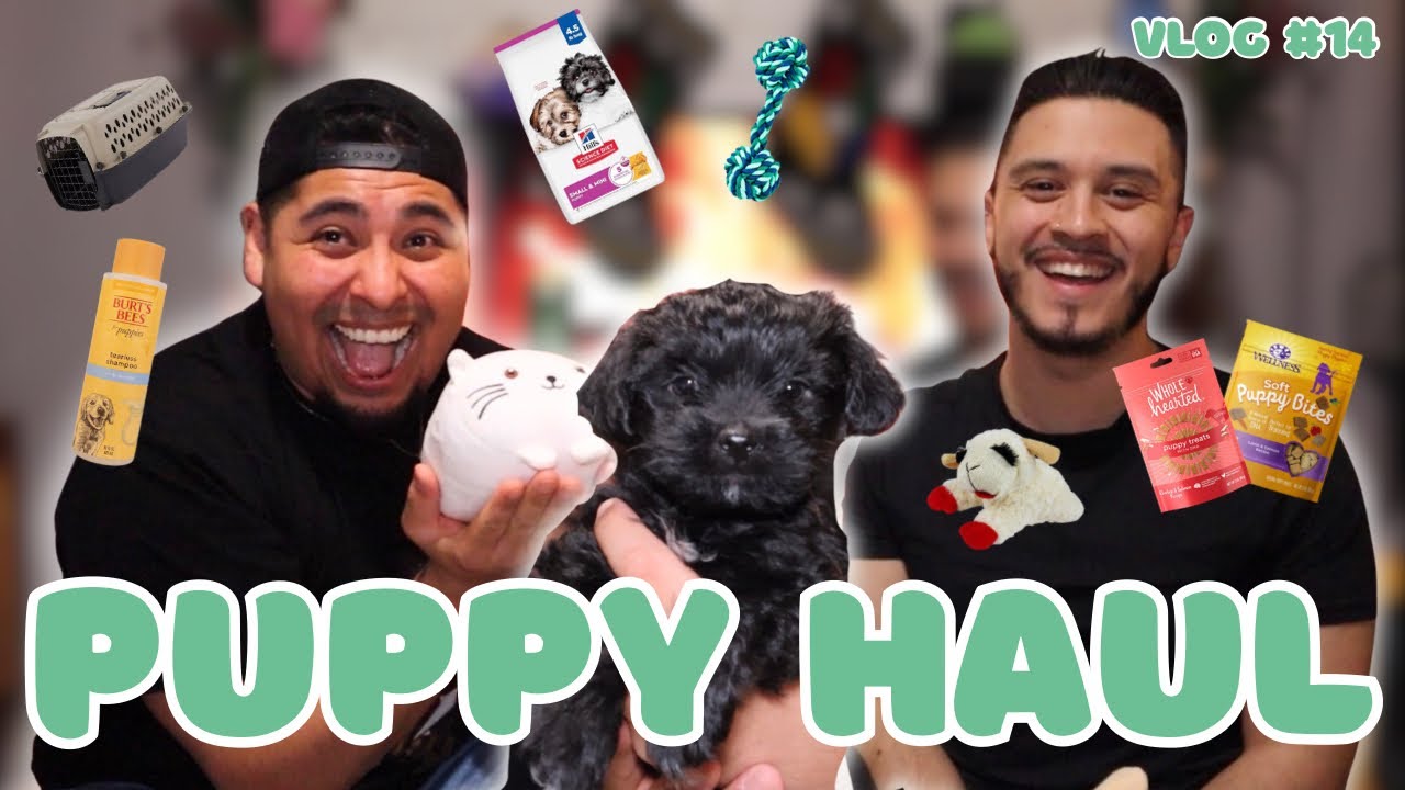We Got a PUPPY 🐶🖤🐾 (sooo spoiled already 🤭😭) | VLOG #14