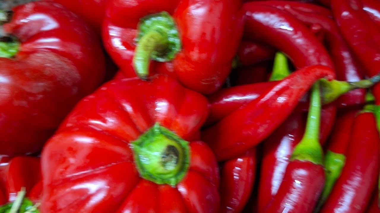 الصوص الحار 🔥 🔥 وهريسة الشطة 🌶🌶🌶 و حفظهم طول العام 🍒🍒