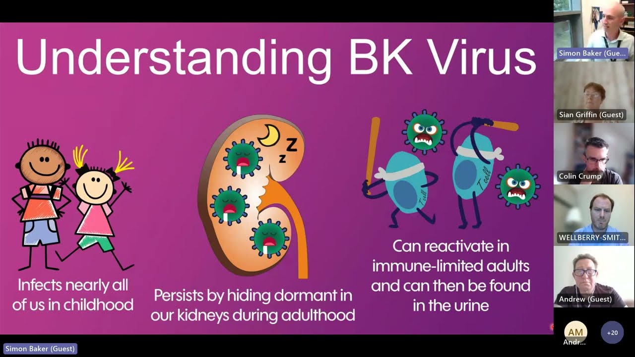 What is happening in BK virus research?
