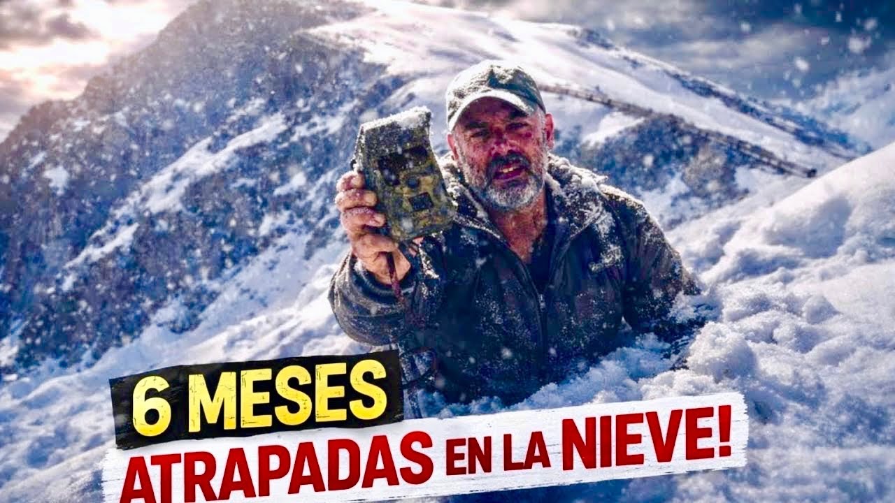 📸 Quedaron 6 MESES bajo la NIEVE en Galicia… y lo que grabaron las cámaras fue INCREÍBLE ❄️🐾