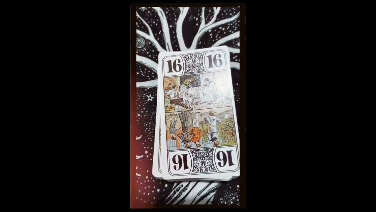 O Jeu de Tarot  &eacute; um dos jogos de cartas de estrat&eacute;gia mais populares na Fran&ccedil;a. #tar&ocirc; #tarot 