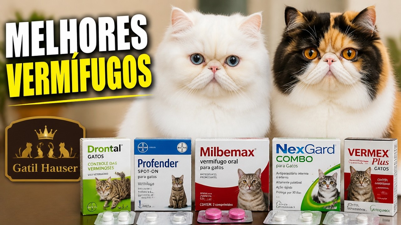 VERMÍFUGOS para gato - como escolher o MELHOR vermífugo - Gatil Hauser