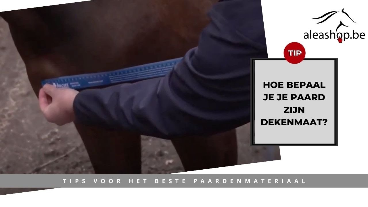 Hoe bepaal je je paard zijn dekenmaat?