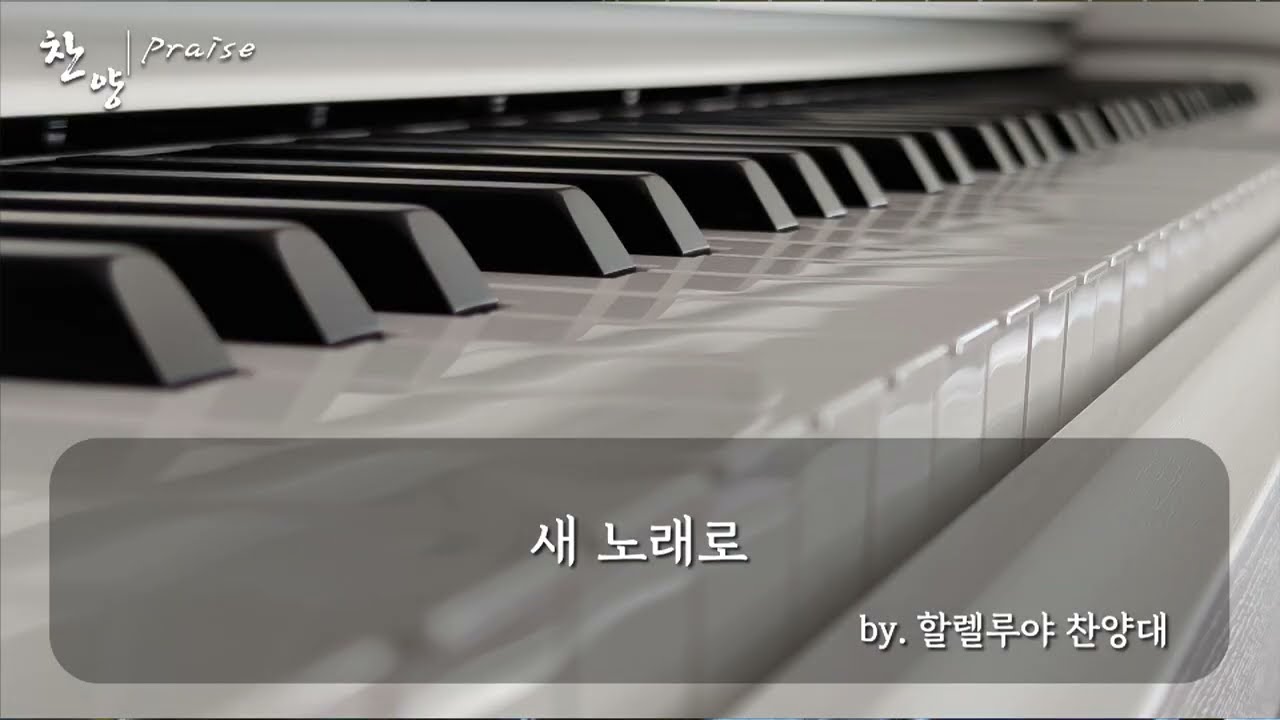 260301 새 노래로(군산 드림교회 할렐루야)