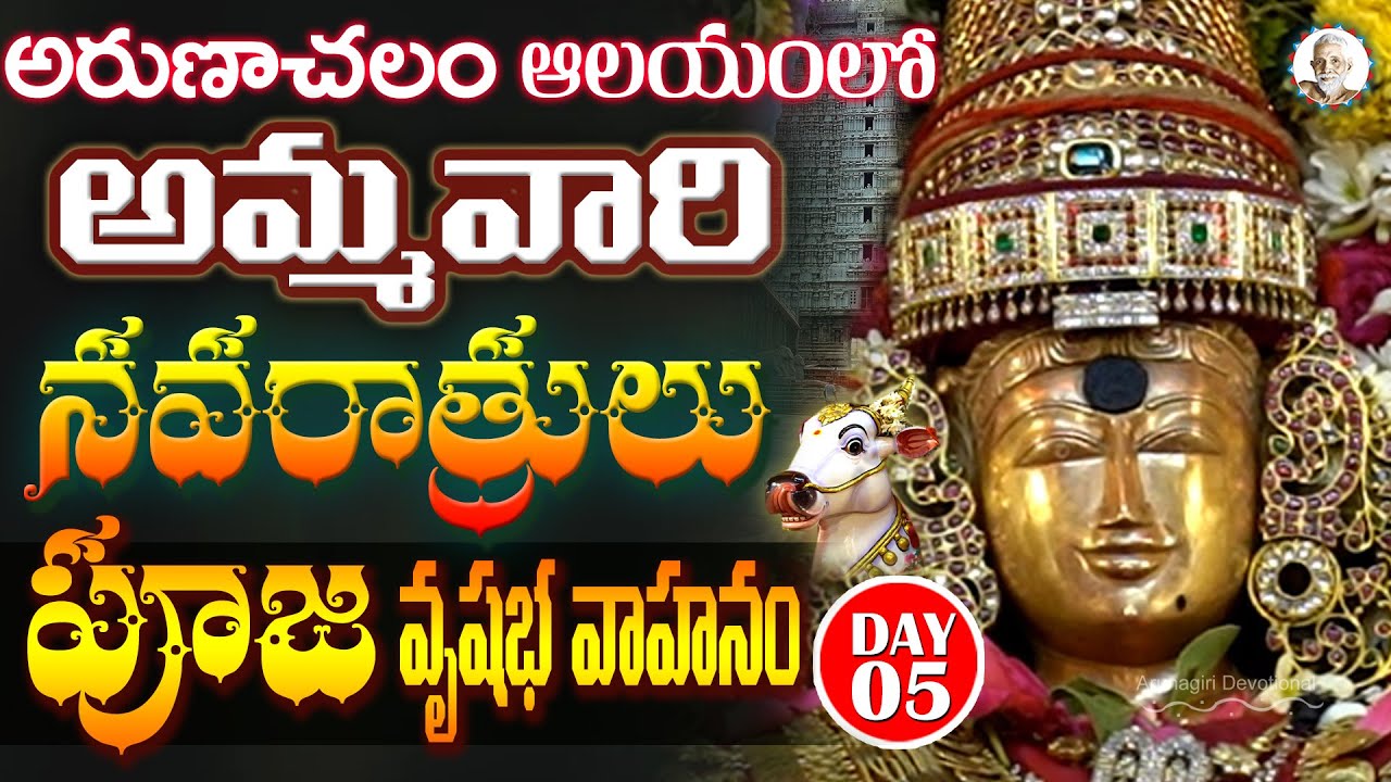 అరుణాచలం ఆలయంలో అమ్మవారి నవరాత్రులు పూజ వృషభ వాహనం DAY 5 | Arunachalam Temple | Tiruvannamalai