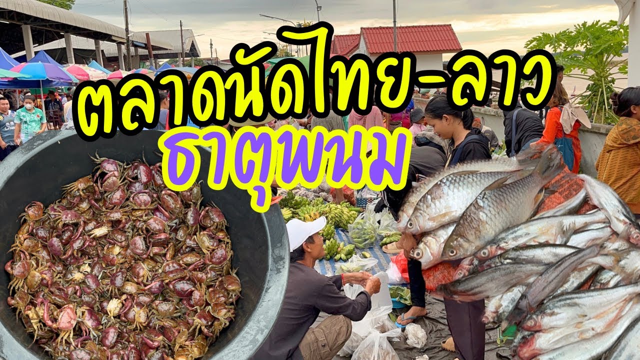 คนหลายคัก! ตลาดนัดไทย-ลาว อ.ธาตุพนม จ.นครพนม ของป่าเพียบ รังต่อ แมงจิหล่อ ปูนาเต็มตลาด 