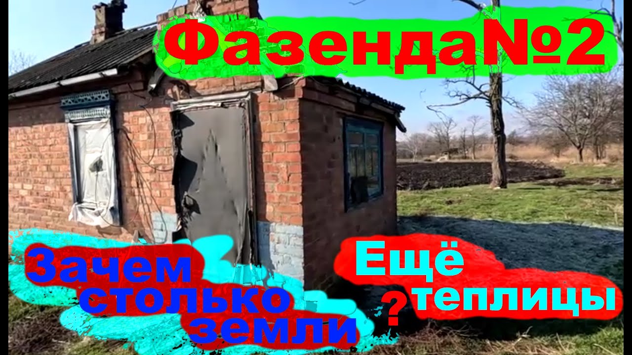 # 241 Фазенда №2 или приключения нового дедушки!