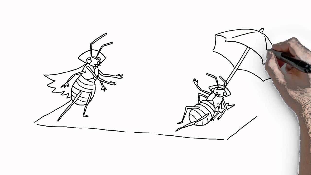Whole home fumigation for bed bugs with Vikane® Gas Fumigant