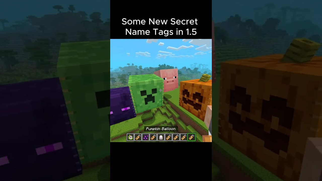 New Secret Name Tags on 1.5