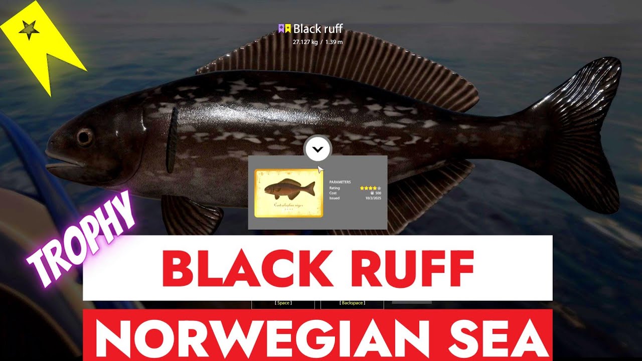 RUSSIAN FISHING 4 - RF4 - TROPHY BLACK RUFF - NORWEGIAN SEA