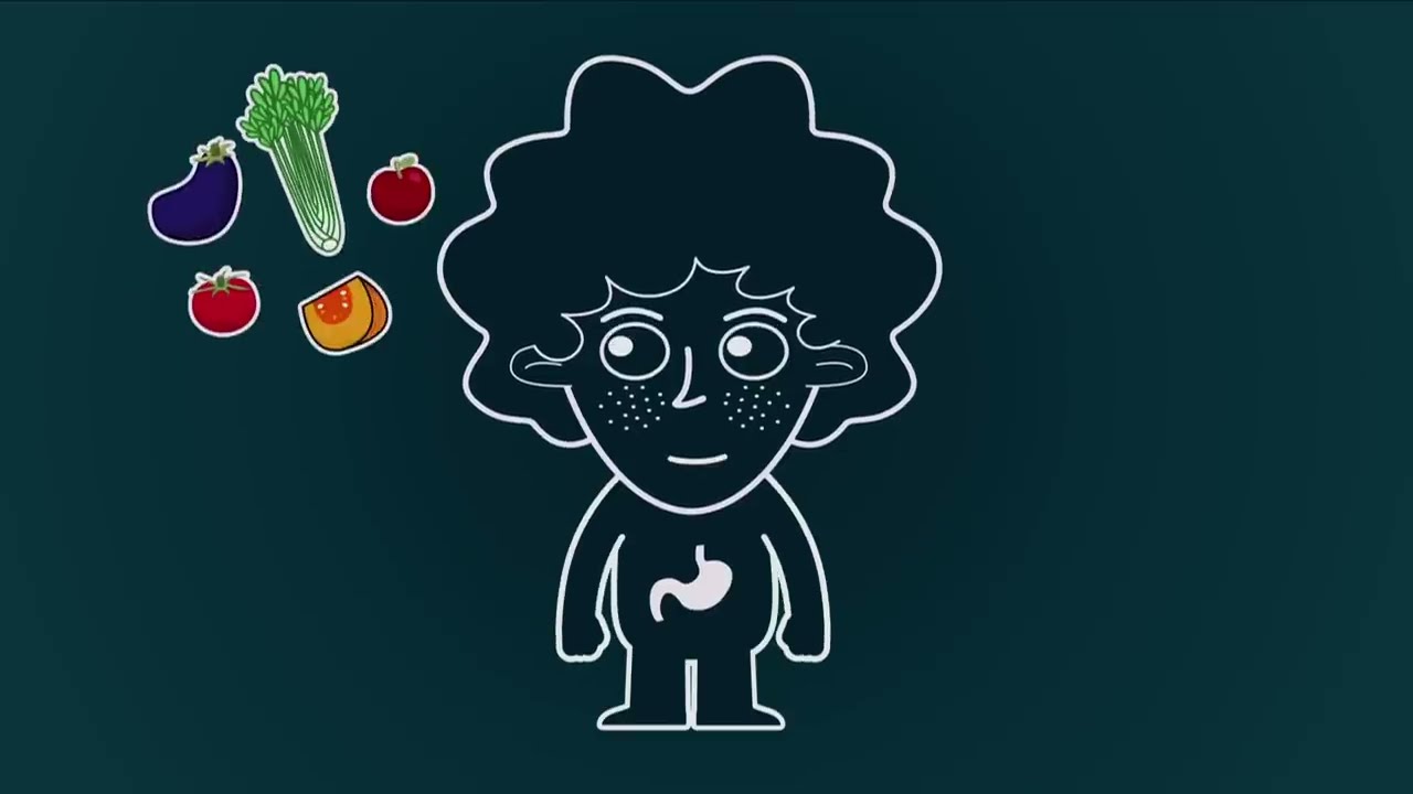 Mundo Zamba ⛹🏻‍♂️ Fútbol y salud: buena nutrición